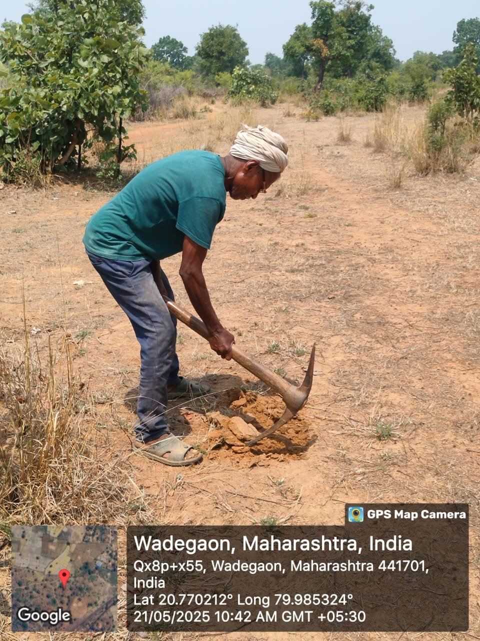 वन महोत्सव - सामुदायिक वृक्षारोपण