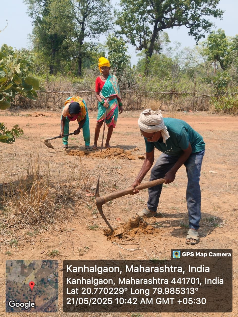 ग्रामस्थांचा सहभाग वृक्षारोपणात