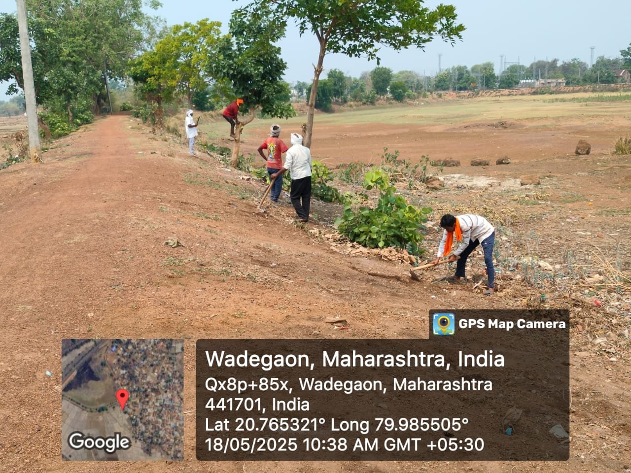 सीमावृक्ष योजनेअंतर्गत रोपे